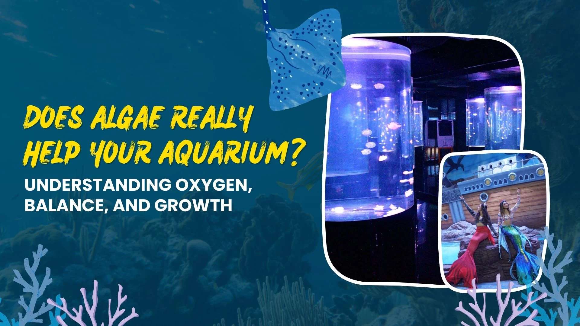 Does Algae Really Help Your Aquarium? Understanding Oxygen, Balance, and Growth